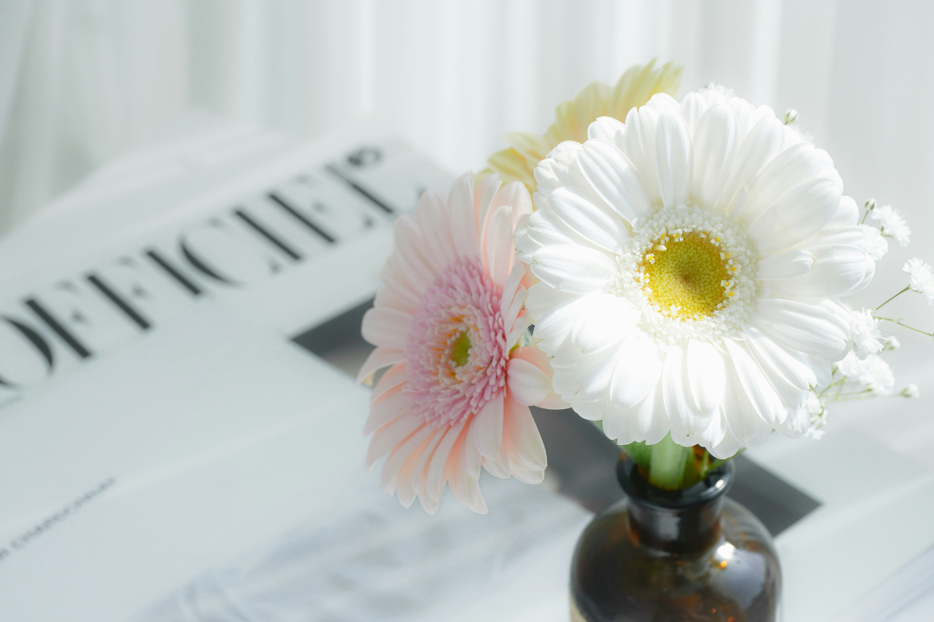 Vita och rosa gerbera tillsammans med små vita baby's breath i en liten bärnstensfärgad glasflaska på ett bord vid ett fönster med genomskinlig gardin